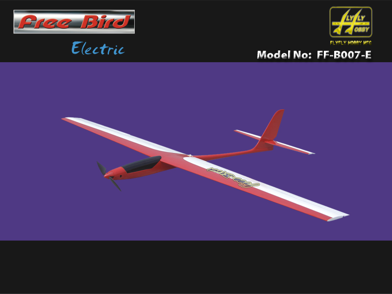  free bird هواپیماکنترلی الکتریکی 